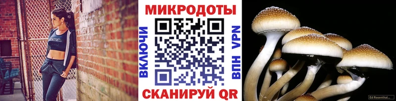 Галлюциногенные грибы мицелий  Дрезна 