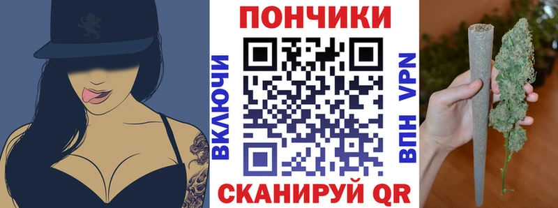 ссылка на мегу как зайти Дрезна Шишки марихуана план купить наркоту
